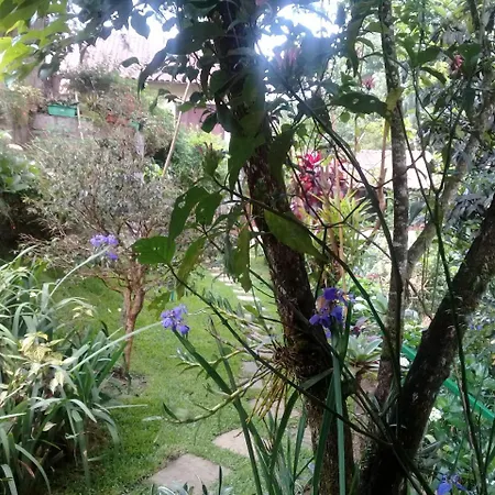 Chale Charmoso E Aconchegante Em Visconde De Maua Villa Exterior photo