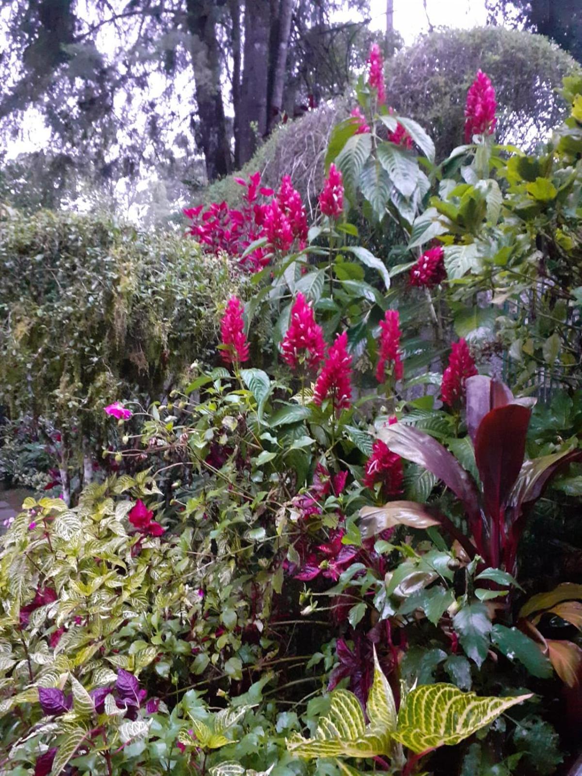 Chale Charmoso E Aconchegante Em Lodge Visconde De Maua